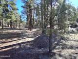 13696 Kings Deer Road - Photo 12