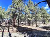 13696 Kings Deer Road - Photo 17