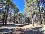 13696 Kings Deer Road - Photo 19