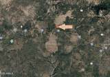 13696 Kings Deer Road - Photo 2