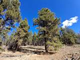 13696 Kings Deer Road - Photo 20