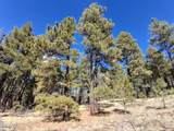 13696 Kings Deer Road - Photo 21
