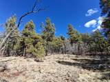 13696 Kings Deer Road - Photo 22