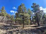 13696 Kings Deer Road - Photo 23