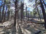 13696 Kings Deer Road - Photo 25