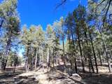 13696 Kings Deer Road - Photo 26