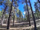 13696 Kings Deer Road - Photo 27