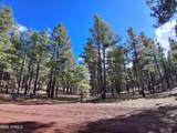 13696 Kings Deer Road - Photo 28