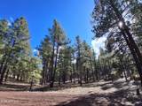 13696 Kings Deer Road - Photo 29