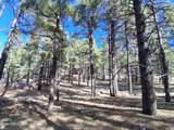 13696 Kings Deer Road - Photo 30
