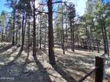 13696 Kings Deer Road - Photo 31