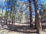 13696 Kings Deer Road - Photo 9