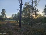 4843 Bison Trail - Photo 10
