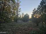 4843 Bison Trail - Photo 11