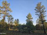 4843 Bison Trail - Photo 13