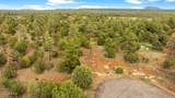 4843 Bison Trail - Photo 14