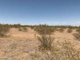 0 Pampas Grass Road - Photo 6