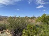 0 Pampas Grass Road - Photo 7
