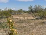 0 Pampas Grass Road - Photo 5