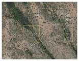 25100 Frontier Drive - Photo 3