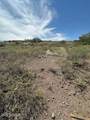 12311 Caballo Terrace - Photo 15