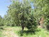 415 Rim Estates Trail - Photo 42