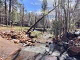 415 Rim Estates Trail - Photo 44