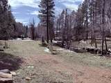 415 Rim Estates Trail - Photo 45