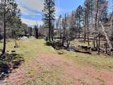 415 Rim Estates Trail - Photo 46