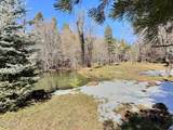 415 Rim Estates Trail - Photo 49