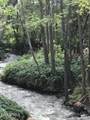 415 Rim Estates Trail - Photo 5