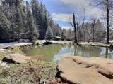 415 Rim Estates Trail - Photo 53