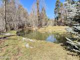 415 Rim Estates Trail - Photo 55