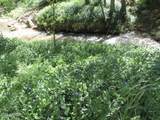 415 Rim Estates Trail - Photo 74