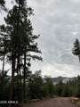 415 Rim Estates Trail - Photo 76