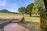 133 Mule Track Road - Photo 55