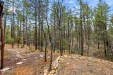 1041 White Tail Drive - Photo 34