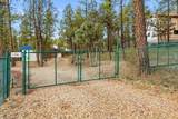 1041 White Tail Drive - Photo 43