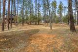 1041 White Tail Drive - Photo 44