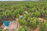 1041 White Tail Drive - Photo 45