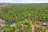 1041 White Tail Drive - Photo 47