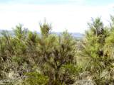 3430 Kearney Trail - Photo 11