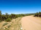 3430 Kearney Trail - Photo 3