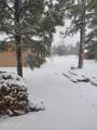2010 Christmas Pine Road - Photo 25