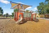 5410 Cactus Road - Photo 75