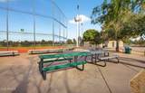 5410 Cactus Road - Photo 78