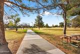 5410 Cactus Road - Photo 80