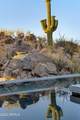 1190 Tortolita Mountain Circle - Photo 24