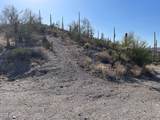 3246 Silver Tip Trail - Photo 131