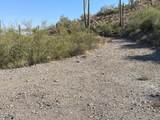 3246 Silver Tip Trail - Photo 132